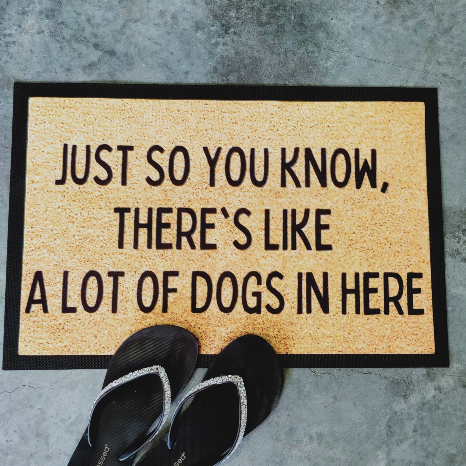 Theres like heaps of dogs here doormat - Personalised Doormat Australia
