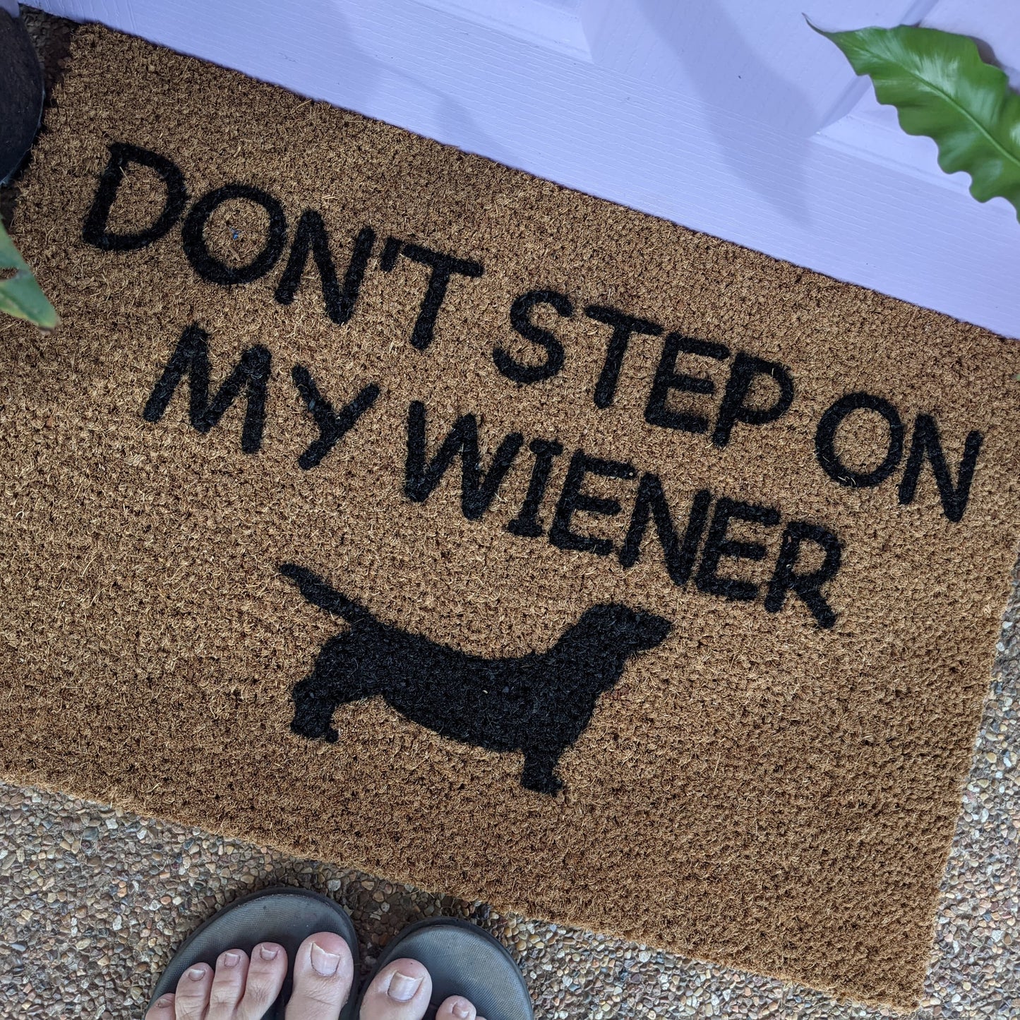 Don't step on my wiener doormat